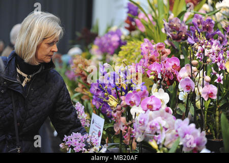 Royal Horticultural Halls, London, UK. 5th Apr, 2018. People looking at a display of exotic orchids and vibrant blooms on the preview evening of the 2018 RHS Orchid Show & Plant Fair, Royal Horticultural Halls, London, United Kingdom.  The event showcases spring plant displays as well as an abundance of exotic orchids and plants from all around the world.   There is also an opportunity at the show to see an exclusive preview of the RHS Chelsea Flower Show which opens on the 22 May. Credit: Michael Preston/Alamy Live News Stock Photo