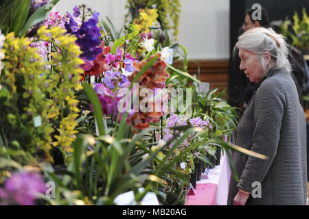 Royal Horticultural Halls, London, UK. 5th Apr, 2018. People looking at a display of exotic orchids and vibrant blooms on the preview evening of the 2018 RHS Orchid Show & Plant Fair, Royal Horticultural Halls, London, United Kingdom.  The event showcases spring plant displays as well as an abundance of exotic orchids and plants from all around the world.   There is also an opportunity at the show to see an exclusive preview of the RHS Chelsea Flower Show which opens on the 22 May. Credit: Michael Preston/Alamy Live News Stock Photo