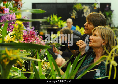 London, UK. 5th April, 2018. People looking at a display of exotic orchids and vibrant blooms on the preview evening of the 2018 RHS Orchid Show & Plant Fair, Royal Horticultural Halls, London, United Kingdom.  The event showcases spring plant displays as well as an abundance of exotic orchids and plants from all around the world.   There is also an opportunity at the show to see an exclusive preview of the RHS Chelsea Flower Show which opens on the 22 May. Credit: Michael Preston/Alamy Live News Stock Photo