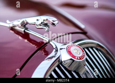 27 March 2018, Germany, Wolfsburg: A juaguar figurine decorates the hood of the Jaguar S-Type belonging to vintage car collector Horst F. Beilharz. Photo: Hauke-Christian Dittrich/dpa Stock Photo