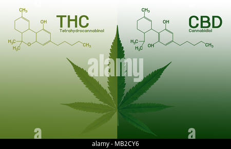 Image cannabis of the formula CBD-THC. Stock Photo