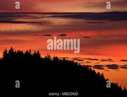 Trees in silhouette against colourful clouds at sunrise, Moel Famau, North Wales Stock Photo