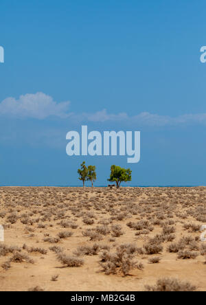 A somali hut called aqal in the desert, Awdal region, Lughaya, Somaliland Stock Photo