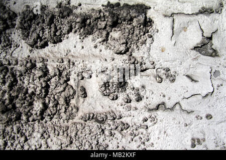 Blistering white paint on a white painted wall Stock Photo