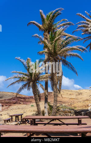 Palm Desert Oasis adventure hiking Stock Photo