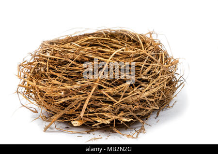 Horizontal close-up shot of an empty bird's nest on a white background. Stock Photo