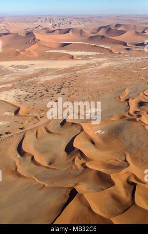 Sand dunes in the Namib Desert, top centre the Witberg (White Mountain, 426m), with Camelthorn trees (Acacia erioloba) at the