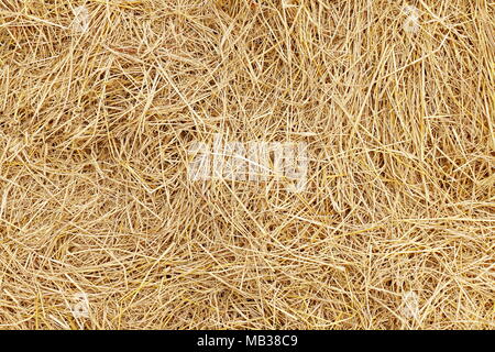 Straw Dry Straw Hay Straw Yellow Background Texture Stock Photo by ©cgdeaw  215944352