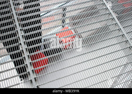 Industrial metal floor grid and joins in nice developed interior Stock Photo