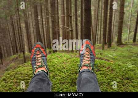 relaxing inside a deep woods Stock Photo