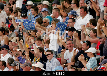 Cricket fans cheer and have fun at the Twenty20 cup final day at the Rose Bowl Hampshire. Stock Photo