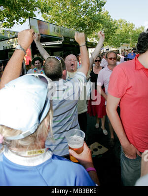 Cricket fans drinking alcohol and cheering at the 2008 Twenty20 cup finals day at the Rose Bowl Hampshire. Stock Photo