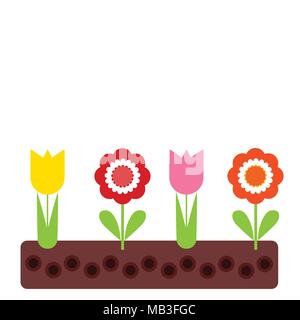 flowerbed with tulips and colorful flowers with green leaves in soil, with space for your text - vector Stock Vector