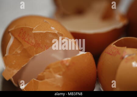 egg shells of broken eggs Stock Photo
