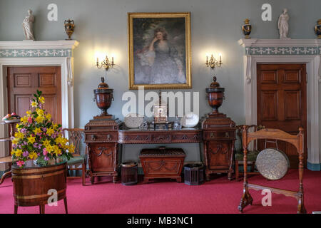 Inside Culzean Castle, Ayrshire, Scotland, Uk Stock Photo: 311023533 ...