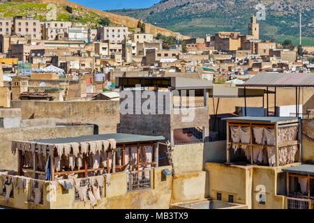 MOROCCO FES MEDINA SOUK TANNERY TANNERIES SHEEP SKINS DRYING IN THE SUN VIEW TO MOSQUE TOWER AND DISTANT HILLS Stock Photo