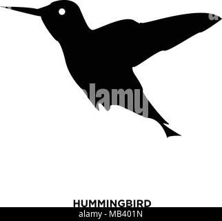 hummingbird silhouette on white bbackground, in black Stock Vector