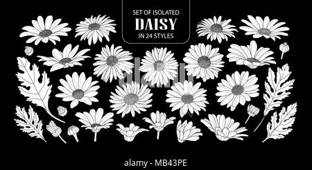 Set of isolated white silhouette daisy in 24 styles. Cute hand drawn flower vector illustration in white plane without outline on black background. Stock Vector