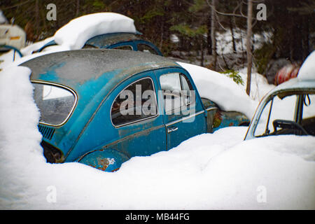 A  blue 1964 Volkswagen Beetle, burried in the snow, in a wooded area, in Noxon, Montana.  This image was shot with an antique Petzval lens and will s Stock Photo