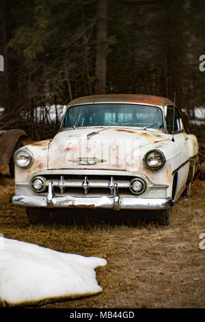 A 1953 Chevrolet Bel Air 2-door sedan, in a wooded area, in Noxon, Montana  This image was shot with an antique Petzval lens and will show signs of di Stock Photo