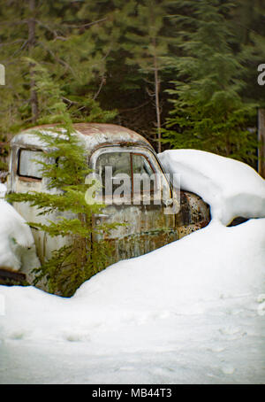 An old, 1950 Dodge pickup truck partially buried in deep snow, in a wooded area, behind a barn, in Noxon, Montana, USA.  This image was shot with an a Stock Photo