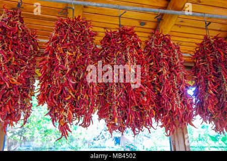 Bunches of hot chillies hanging up in restaurant, Marmaris, Mugla, Turkey Stock Photo