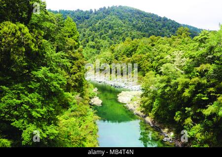 Pelorus River, New Zealand. Where the dwarves barrel scene was filmed in the Hobbit Stock Photo