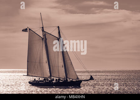 Sailboat under sail on a calm Pacific ocean in evening light with sailors visible o the deck in a side view Stock Photo