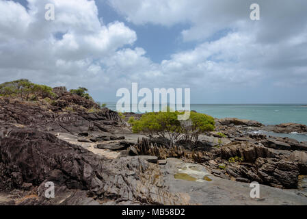 A few trees on the rocks at the northernmost point of the Australian mainland at Cape York Stock Photo