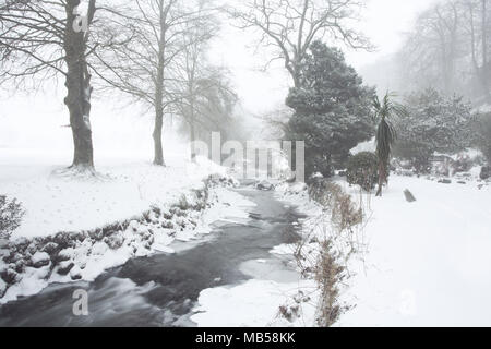 East Okement river running through Simmons park Okehampton Devon Uk Stock Photo