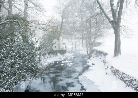 East Okement river running through Simmons park Okehampton Devon Uk Stock Photo