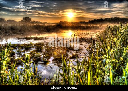 Village of Coddington, England. Artistic sunrise view of a freshwater pond in a Cheshire farming field. Stock Photo