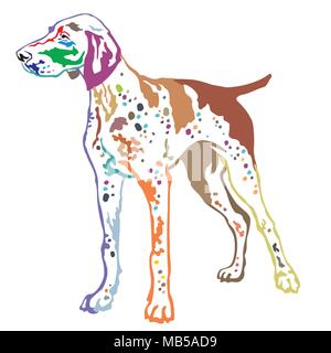 Colorful contour decorative portrait of standing in profile German Shorthaired Pointer, vector isolated illustration on white background Stock Vector
