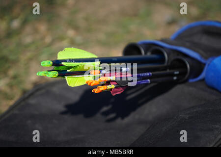 Plastic black arrows in archer case isolated Stock Photo