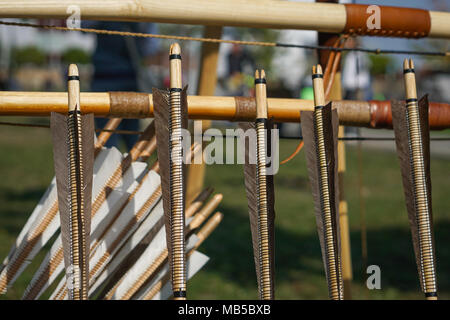 Isolated old style wooden arrows in line Stock Photo