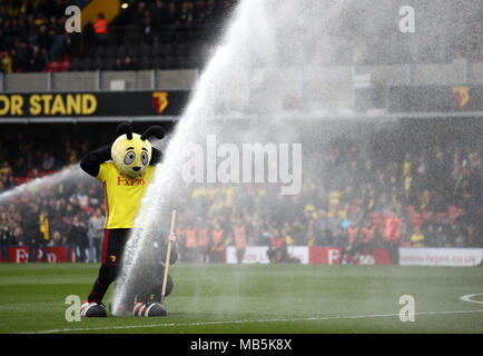 Watford mascot Harry the Hornet jokes around on the pitch before the Premier League match at Vicarage Road, Watford. Stock Photo