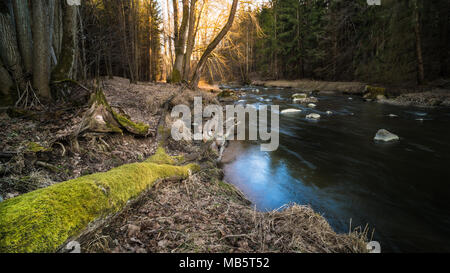 Scenic stream in forest landscape. Spring nature with fallen tree trunk covered by moss on the bank of riverbed with rippled water surface and stones. Stock Photo