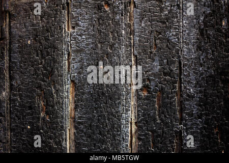 Weathered black burnt wooden planks background, closeup view, vertical stripes Stock Photo