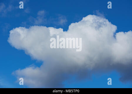 Abstract white  big cloud on deep blue background Stock Photo