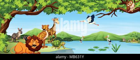 Various wild Animals scene illustration Stock Vector