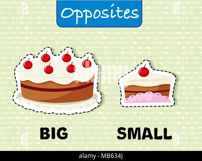 Opposite adjectives words with big and small Vector Image