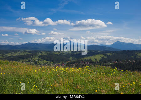 Beautiful scenic summer landscape with blue bright sky and white clouds. Meadow full of wild flowers and grass in foreground. Village and mountains in Stock Photo