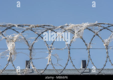 Coiled razor wire upon which plastic wrapping has become ensnared. Metaphor for 'war on plastic', ban plastic. Stock Photo