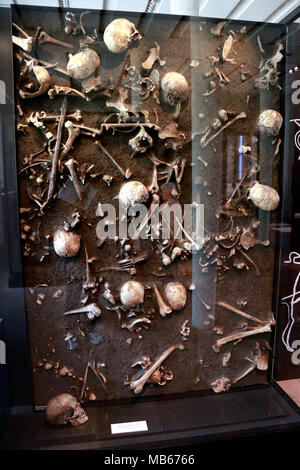 antikes Skelett, Berlin. Stock Photo