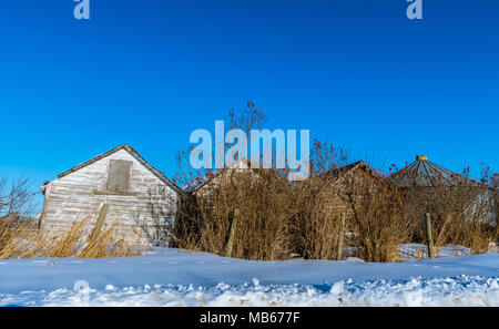 Beautiful Old and Abandoned Barns in Alberta Canada Stock Photo