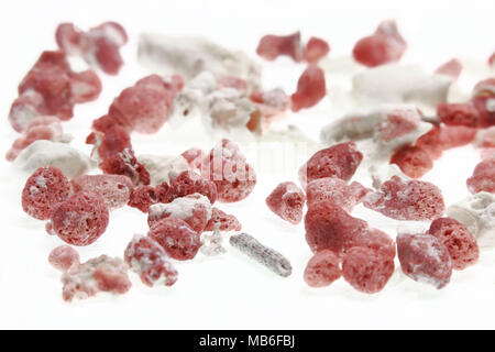 Macro image of pink and white coarse coral sand collected during underwater diving in Bermuda. Stock Photo