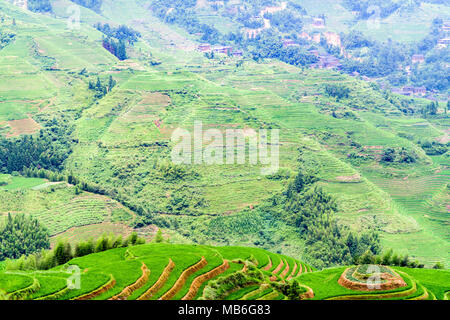 Longsheng Rice Terraces in China Stock Photo