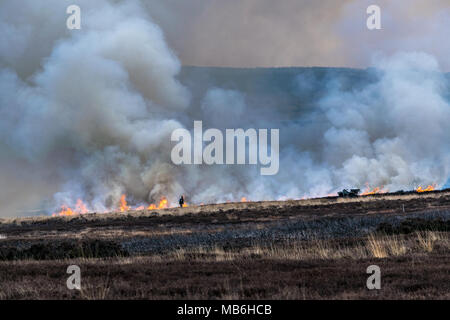 Burning the Moors. North Yorks Moors. England Stock Photo