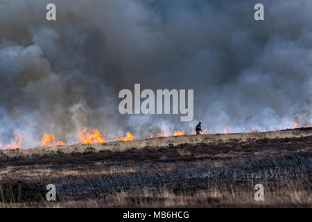Burning the Moors. North Yorks Moors. England Stock Photo