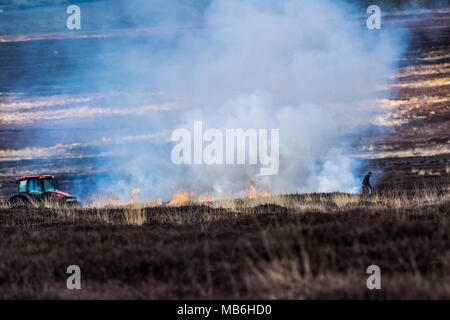 Burning the Moors. North Yorks Moors. England Stock Photo